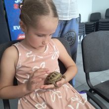 img 20250625