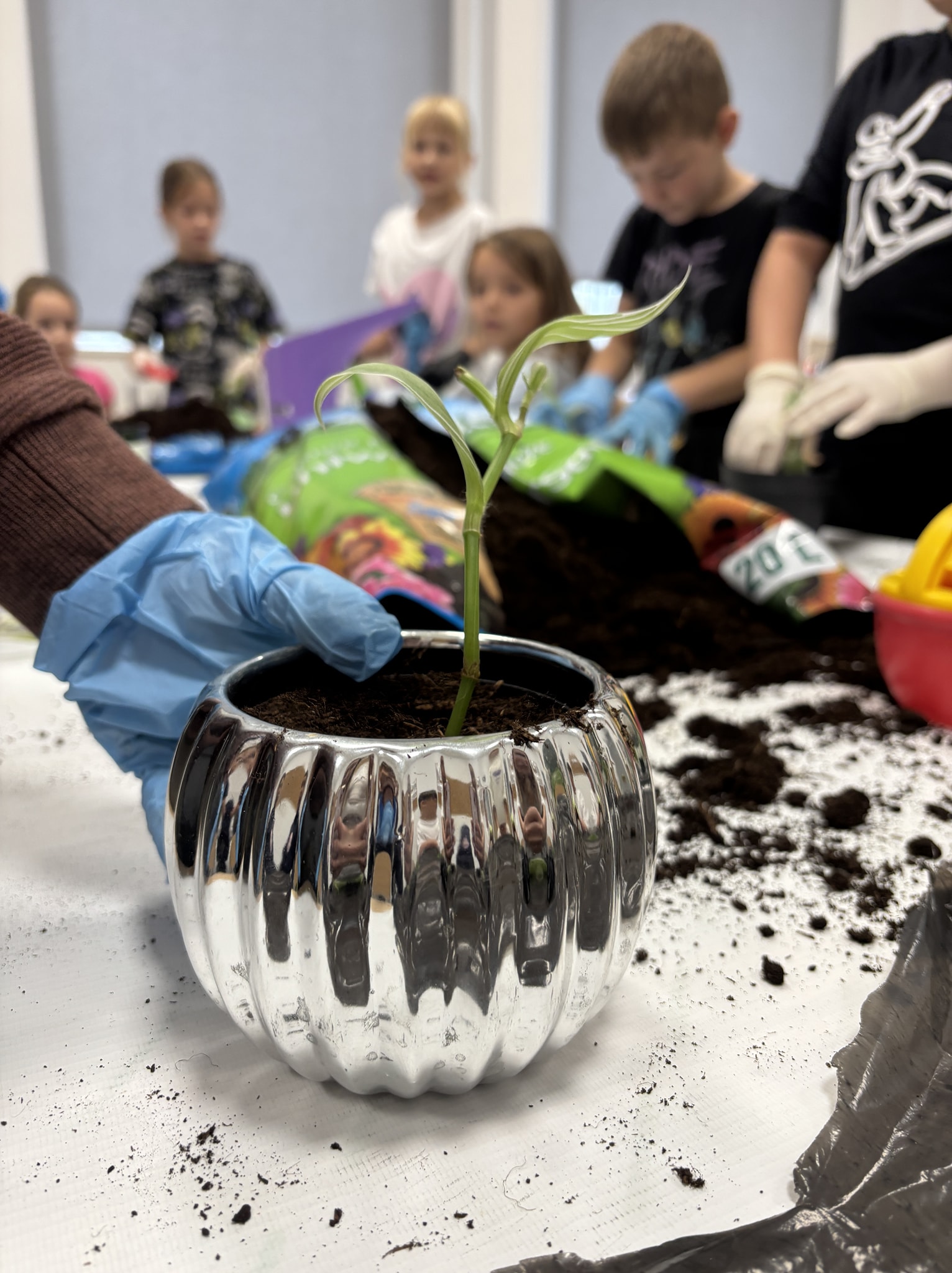 Pasje ogrodnicze.....czyli może zostać ogrodnikiem?