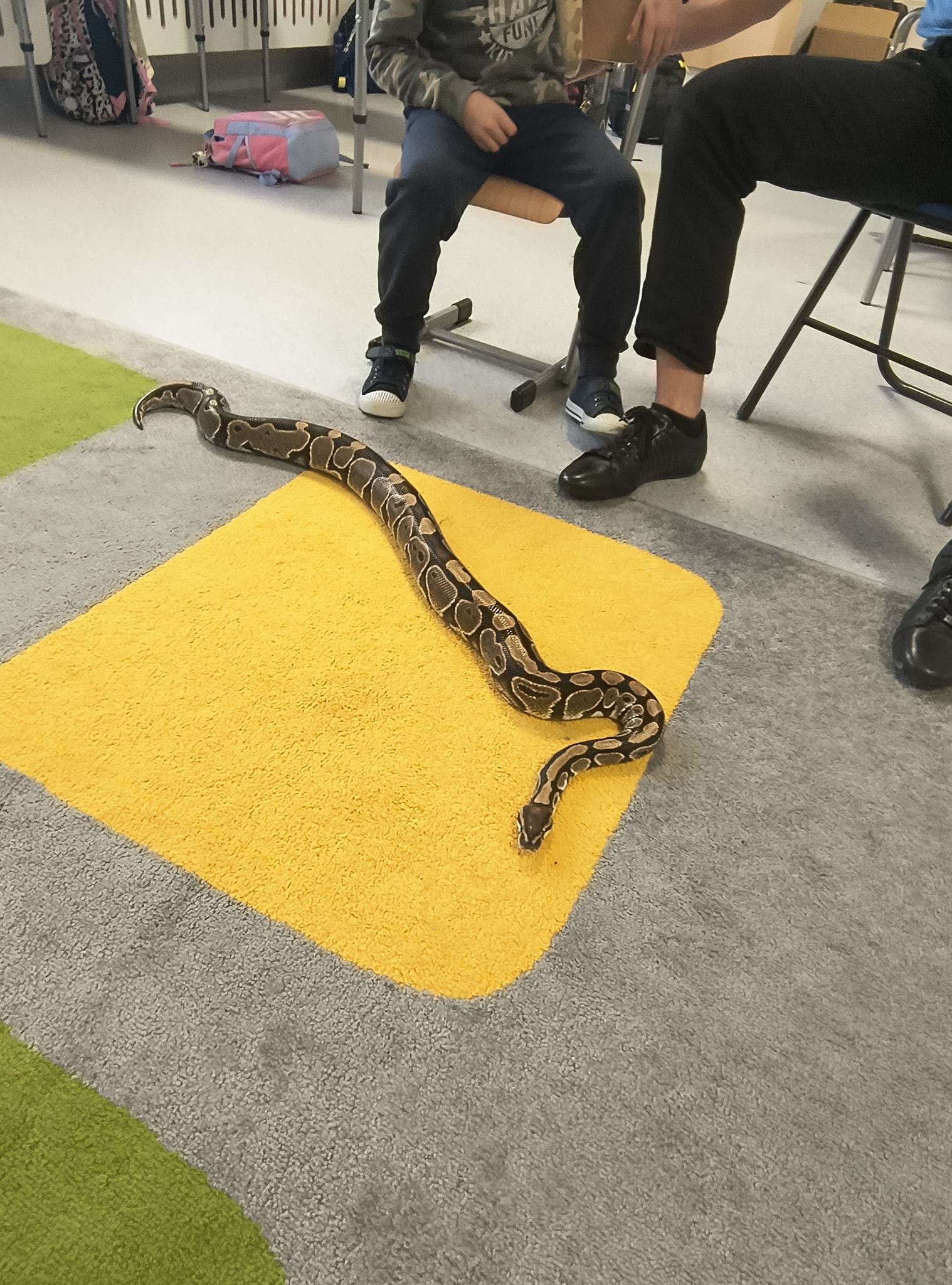 Żywa lekcja przyrody, czyli ciekawostki z życia zwierząt w naszej szkole
