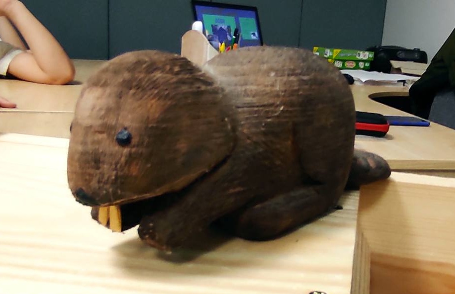 Warsztaty przyrodnicze z OPN w klasach II i IV