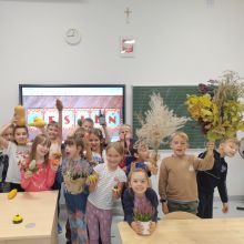 557079577 1432188701823869 n