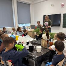 555060158 1422705696105503 n