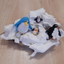 627632510 1537398377969567 n