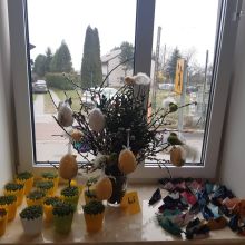 661378462 1586193503090054 n