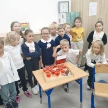 image2.jpg.556x417 q85 image2.jpg.556x417 q85