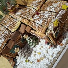 601381302 1495489208827151 n