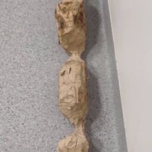 651752019 1569254978117240 n