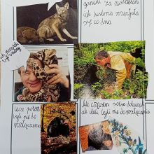 585320878 1474309790945093 n