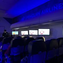 594428614 1485829926459746 n