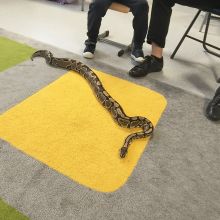 584920759 1471752507867488 n