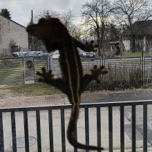 585330701 1471752244534181 n