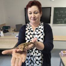 585369306 1471752321200840 n