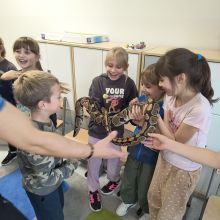 585903935 1471753107867428 n