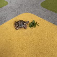 586042841 1471761574533248 n